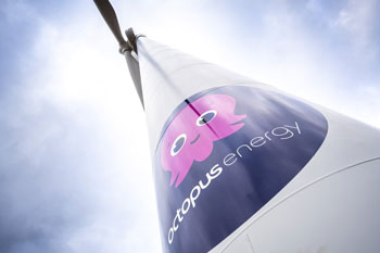 Free-Octopus-Energy