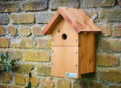 Handmade Wooden Bird Box
