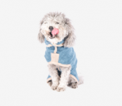 15% off Dog Walking Gear