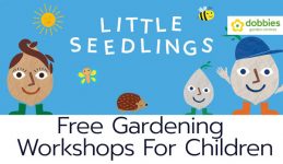 Dobbies Free Childrens Gardening Workshops