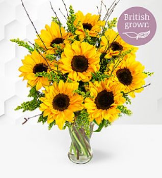 Prestige Sunflowers