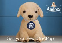 andrex puppy competition
