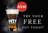 free Katsu Curry Fusions Pot Noodle