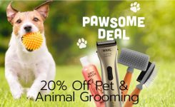 wahl pet and animal grooming
