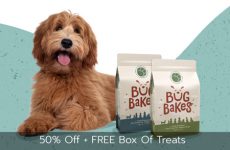 50 percent off plus free box of treats at bug bakes