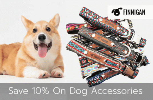 10 percent off finnigan dog accessories