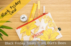 burts bees black friday treats