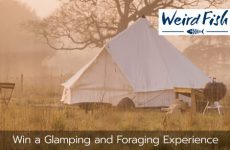 weird fish glamping and foraging competition