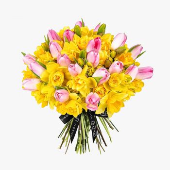 daffodils & tulips