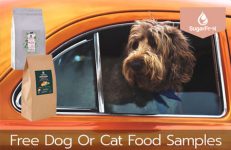 sugarfoot free dog or cat food samples