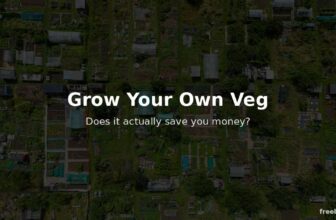 Is It Cheaper to Grow Your Own Vegetables?