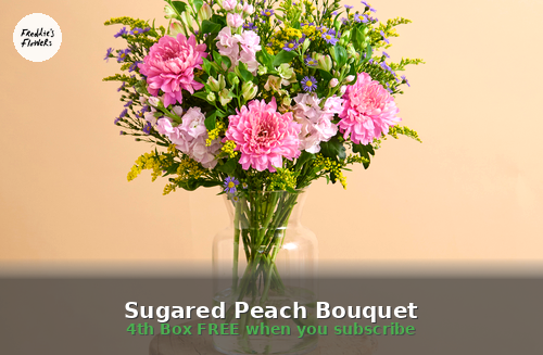 Freddies Flowers Uk Sugared Peach