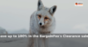 BargainFox: Save up to 100% in the BargainFox’s Clearance sale!