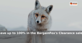 BargainFox: Save up to 100% in the BargainFox’s Clearance sale!
