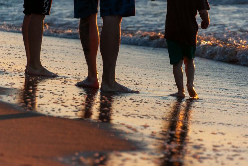 Family enjoying a free day at the beach