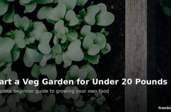 Start a vegetable garden for under 20 pounds - cheap UK gardening
