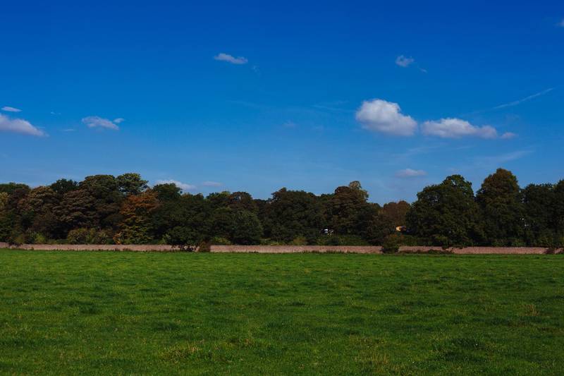 People enjoying a sunny day in a UK park with green spaces and paths