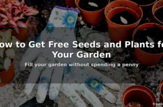 How to Get Free Seeds and Plants for Your Garden This Summer