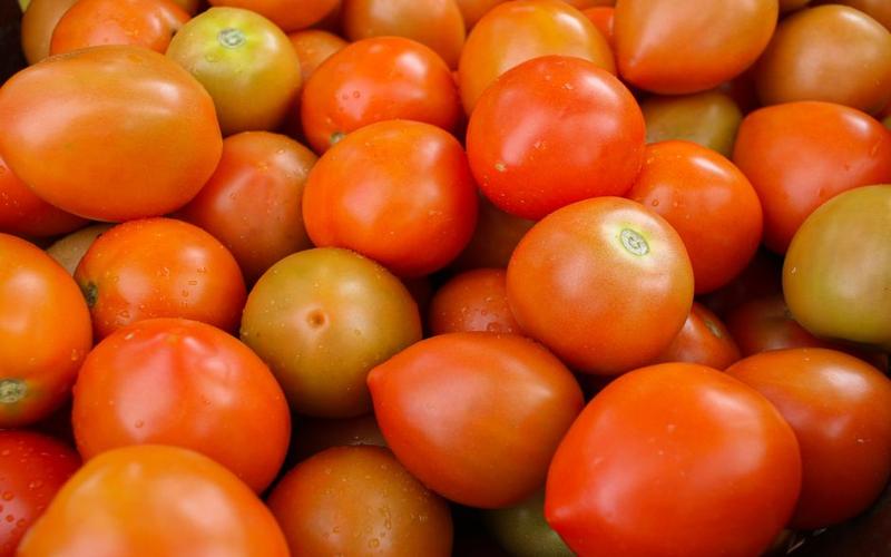Fresh summer vegetables for cheap meals