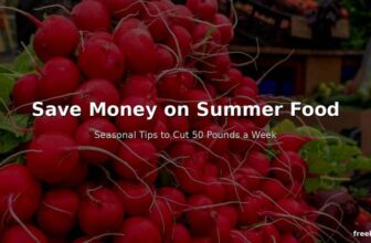 How to Save Money on Your Food Shop in Summer – Seasonal Tips That Cut 50 Pounds a Week