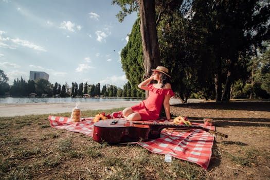 Picnic at an outdoor summer concert