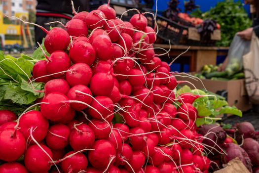 Fresh summer produce at a market stall