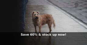 grüum UK: Save 60% & stock up now!