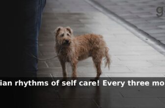 grüum UK: Tune into the circadian rhythms of self care! Every three months we’ll