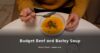 Budget Beef and Barley Soup