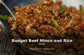 Budget Beef Mince and Rice Skillet