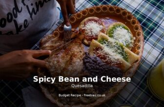 Spicy Bean and Cheese Quesadilla