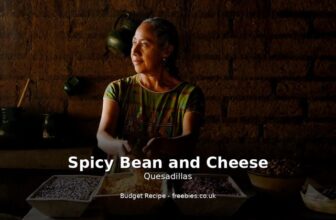 Spicy Bean and Cheese Quesadillas