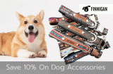 Save 10% On Making Your Dog a Style Icon