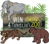 WIN 4 Chester Zoo Tickets