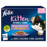 Free Felix Kitten Food
