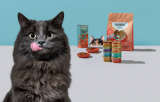 First 2 Week Taster Box For £9 | Republic Of Cats