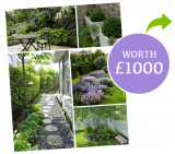 FREE Garden Renovation Worth £1000
