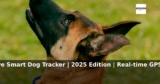 Amazon: 40% Off – Tractive Smart Dog Tracker | 2025 Edition | Real-time GPS Trac