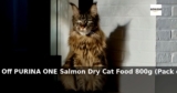 Amazon: 44% Off – PURINA ONE Salmon Dry Cat Food 800g (Pack of 4)