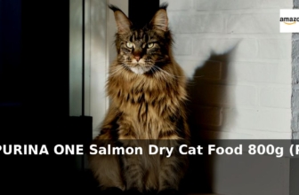 Amazon: 44% Off – PURINA ONE Salmon Dry Cat Food 800g (Pack of 4)