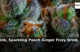 Amazon: 44% Off – TRIP CBD Drink, Sparkling Peach Ginger Fizzy Drink, Low Calori