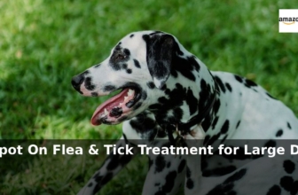 Amazon: 45% Off – FRONTLINE Spot On Flea & Tick Treatment for Large Dog (20-40kg