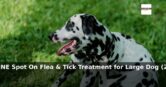 Amazon: 45% Off – FRONTLINE Spot On Flea & Tick Treatment for Large Dog (20-40kg