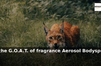 Amazon: 47% Off – Lynx Africa the G.O.A.T. of fragrance Aerosol Bodyspray 48 hou