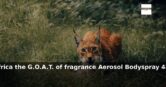 Amazon: 47% Off – Lynx Africa the G.O.A.T. of fragrance Aerosol Bodyspray 48 hou