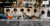 Appliance City: Latest Deals on Kitchen Appliances