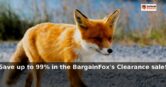 BargainFox: Save up to 99% in the BargainFox’s Clearance sale!