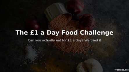 The £1 a Day Food Challenge — Can You Eat for £1 a Day?
