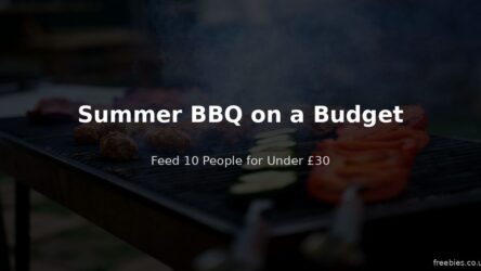 Summer BBQ on a Budget – Feed 10 People for Under £30
