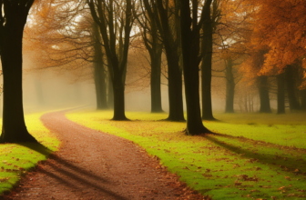 Cheap and Free Things to Do in the UK This Autumn